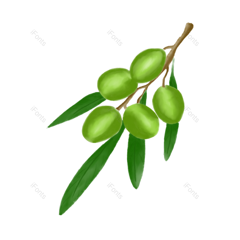 叶子图片,树叶元素,橄榄PNG,橄榄叶子免抠素材